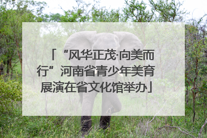 “风华正茂·向美而行”河南省青少年美育展演在省文化馆举办