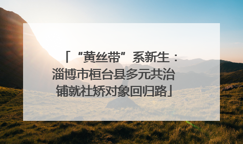 “黄丝带”系新生：淄博市桓台县多元共治铺就社矫对象回归路