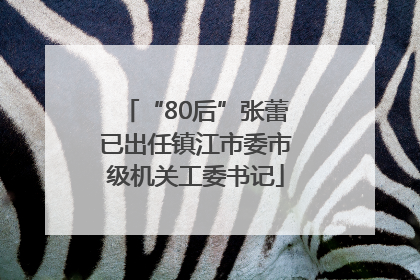 “80后”张蕾已出任镇江市委市级机关工委书记