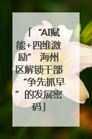 “AI赋能+四维激励” 海州区解锁干部“争先抓早”的发展密码