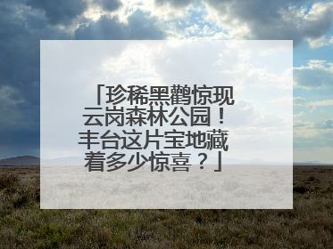 珍稀黑鹳惊现云岗森林公园！丰台这片宝地藏着多少惊喜？