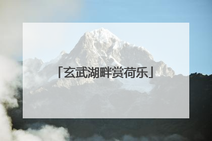 玄武湖畔赏荷乐