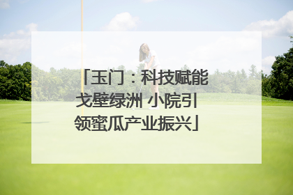 玉门：科技赋能戈壁绿洲 小院引领蜜瓜产业振兴
