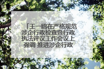 王一鸥在严格规范涉企行政检查暨行政执法评议工作会议上强调 推进涉企行政检查质效大幅提升