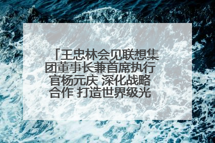 王忠林会见联想集团董事长兼首席执行官杨元庆 深化战略合作 打造世界级光电子信息产业集群