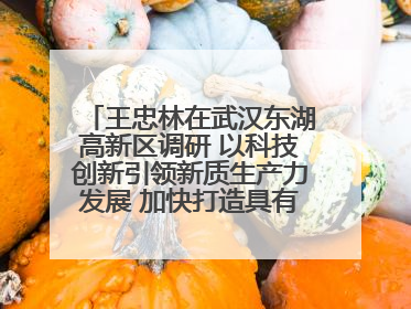 王忠林在武汉东湖高新区调研 以科技创新引领新质生产力发展 加快打造具有全国影响力的科技创新高地
