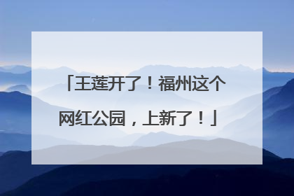 王莲开了！福州这个网红公园，上新了！