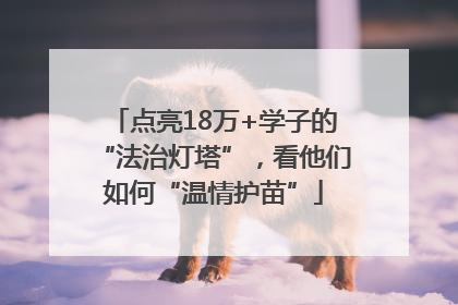 点亮18万+学子的“法治灯塔”，看他们如何“温情护苗”
