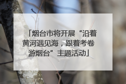 烟台市将开展“沿着黄河遇见海，跟着考卷游烟台”主题活动