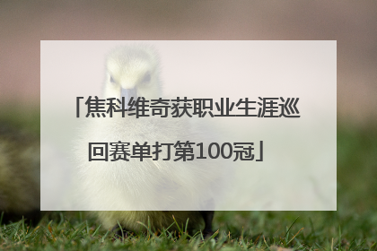 焦科维奇获职业生涯巡回赛单打第100冠
