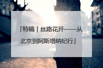 特稿｜丝路花开——从北京到阿斯塔纳纪行
