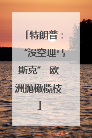特朗普：“没空理马斯克” 欧洲抛橄榄枝