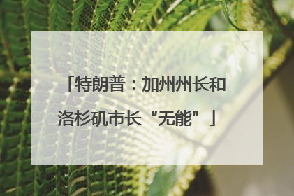 特朗普：加州州长和洛杉矶市长“无能”