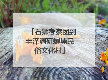 石狮考察团到丰泽调研蟳埔民俗文化村