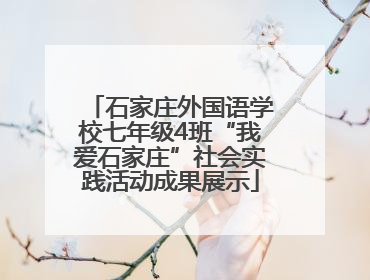 石家庄外国语学校七年级4班“我爱石家庄”社会实践活动成果展示