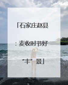 石家庄赵县：麦收时节好“丰”景