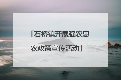 石桥镇开展强农惠农政策宣传活动