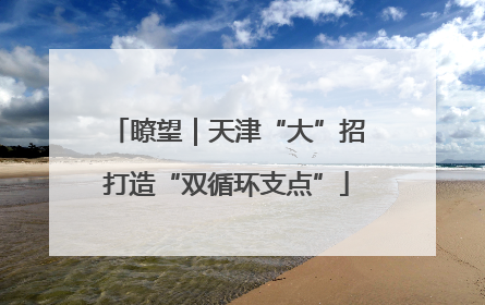 瞭望｜天津“大”招打造“双循环支点”