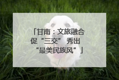 甘南：文旅融合促“三交” 秀出“最美民族风”