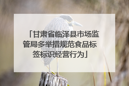 甘肃省临泽县市场监管局多举措规范食品标签标识经营行为