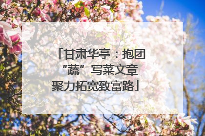 甘肃华亭：抱团“蔬”写菜文章 聚力拓宽致富路