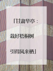 甘肃华亭：栽好梧桐树 引得凤来栖