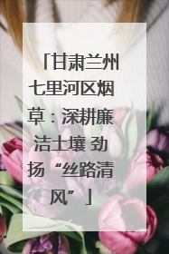 甘肃兰州七里河区烟草：深耕廉洁土壤 劲扬“丝路清风”