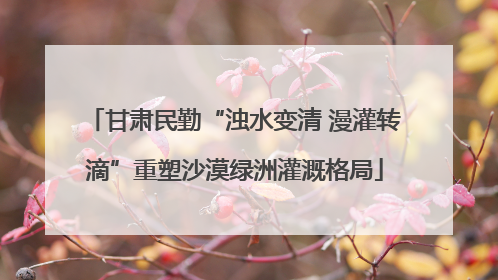 甘肃民勤“浊水变清 漫灌转滴”重塑沙漠绿洲灌溉格局