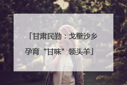 甘肃民勤：戈壁沙乡孕育“甘味”领头羊