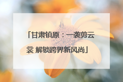 甘肃镇原：一袭剪云裳 解锁跨界新风尚