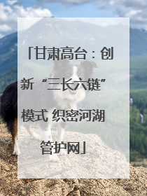 甘肃高台：创新“三长六链”模式 织密河湖管护网