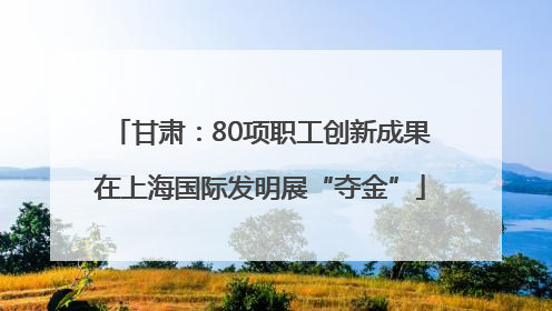 甘肃：80项职工创新成果在上海国际发明展“夺金”