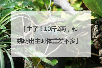 生了！10斤2两，和姚明出生时体重差不多
