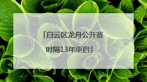 白云区龙舟公开赛时隔13年重启