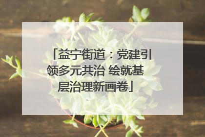 益宁街道：党建引领多元共治 绘就基层治理新画卷