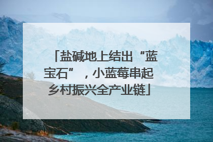 盐碱地上结出“蓝宝石”，小蓝莓串起乡村振兴全产业链