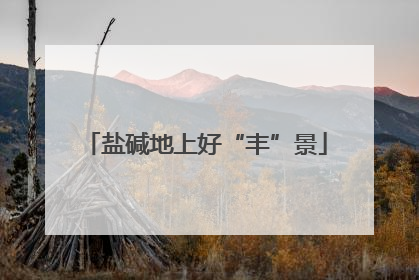 盐碱地上好“丰”景