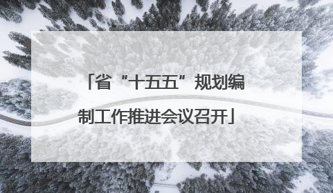 省“十五五”规划编制工作推进会议召开