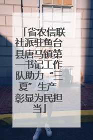 省农信联社派驻鱼台县唐马镇第一书记工作队助力“三夏”生产 彰显为民担当