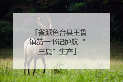 省派鱼台县王鲁镇第一书记护航“三夏”生产