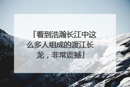 看到浩瀚长江中这么多人组成的渡江长龙，非常震撼