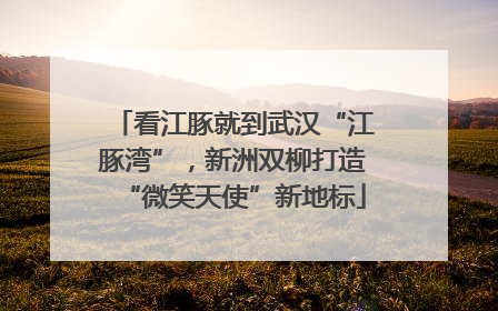 看江豚就到武汉“江豚湾”，新洲双柳打造“微笑天使”新地标