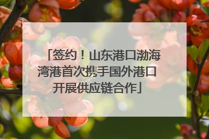 签约！山东港口渤海湾港首次携手国外港口开展供应链合作