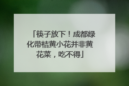 筷子放下！成都绿化带桔黄小花并非黄花菜，吃不得