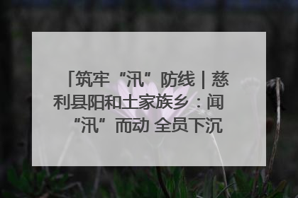 筑牢“汛”防线｜慈利县阳和土家族乡：闻“汛”而动 全员下沉筑牢防汛“安全堤”