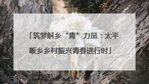 筑梦斛乡“青”力量：太平畈乡乡村振兴青春进行时