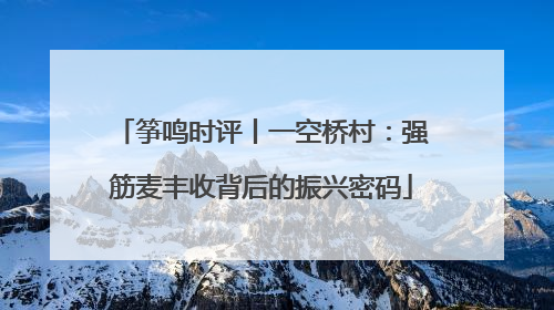 筝鸣时评丨一空桥村：强筋麦丰收背后的振兴密码