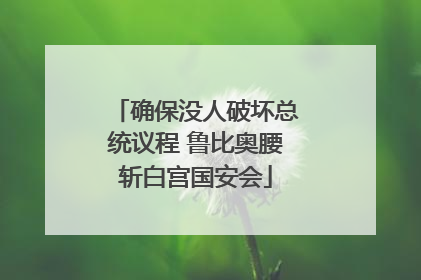 确保没人破坏总统议程 鲁比奥腰斩白宫国安会