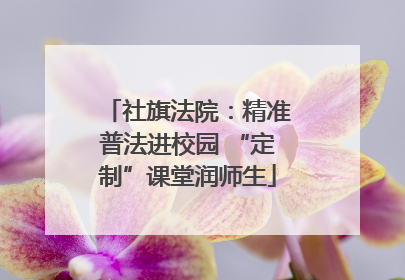 社旗法院：精准普法进校园 “定制”课堂润师生