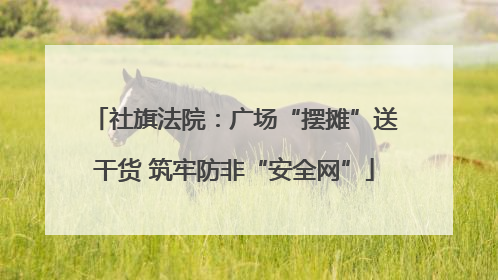 社旗法院：广场“摆摊”送干货 筑牢防非“安全网”